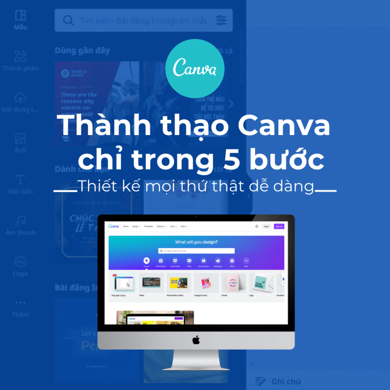 thanh thao canva 1