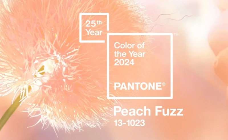 pantone color of the year 2024 peach fuzz 6077