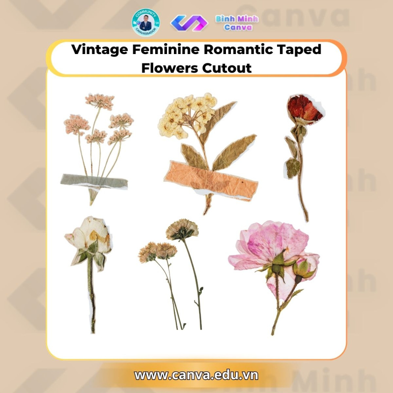 Bình Minh Canva - Từ khóa chủ đề Vintage - Vintage Feminine Romantic Taped Flowers Cutout