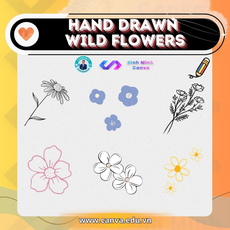 Bình Minh Canva - Từ khóa chủ đề Hand Drawn - Hand Drawn Wild Flowers