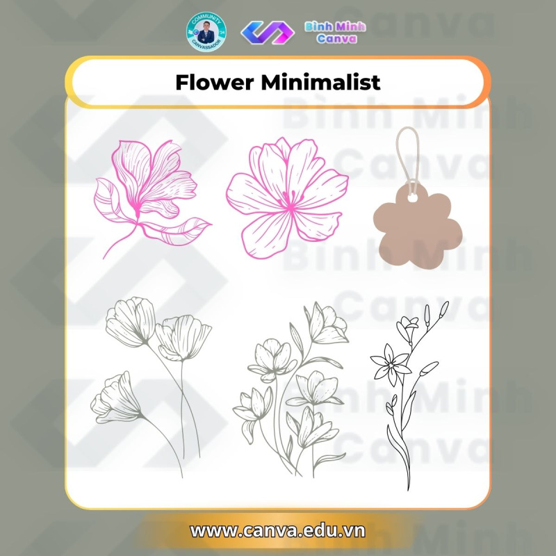 Bình Minh Canva - Từ khóa Flower Minimalist