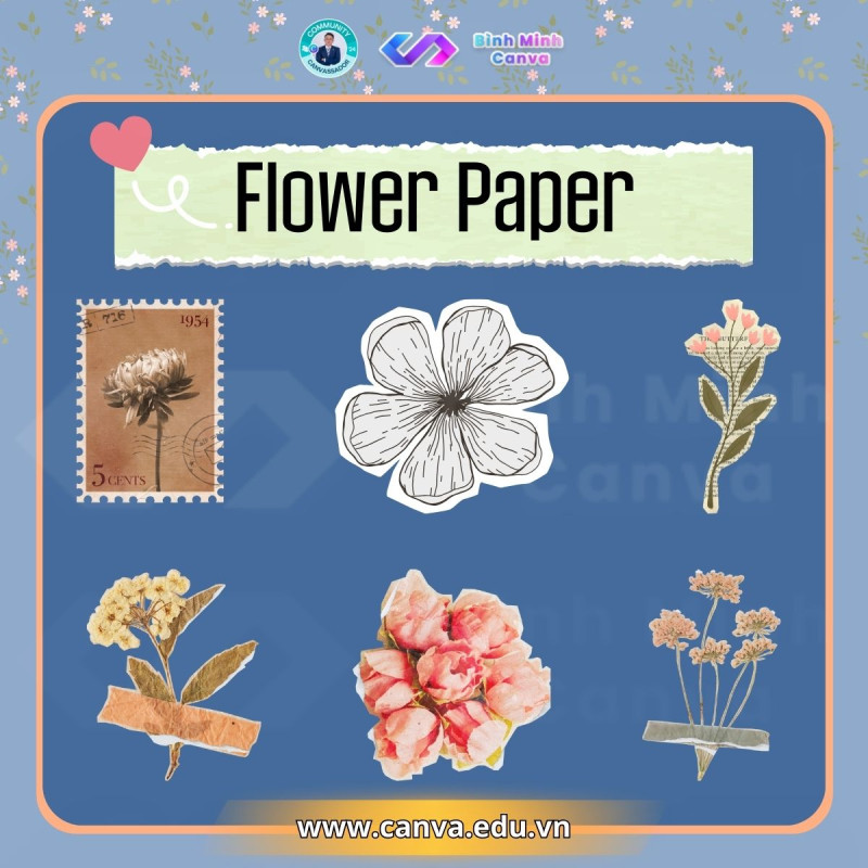 Bình Minh Canva - Từ khóa Flower Paper
