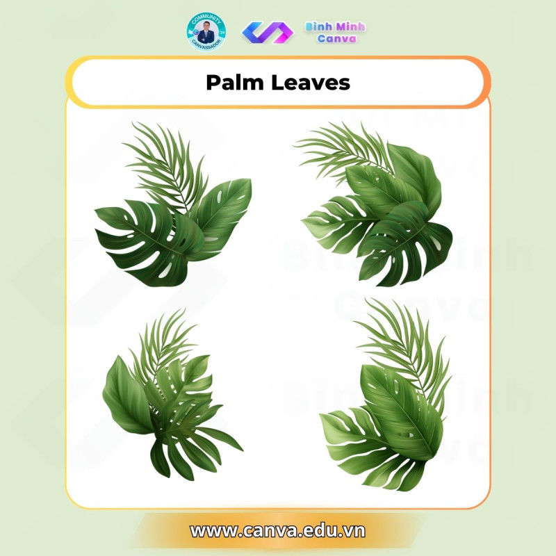 Bình Minh Canva - Từ khóa Palm Leaves
