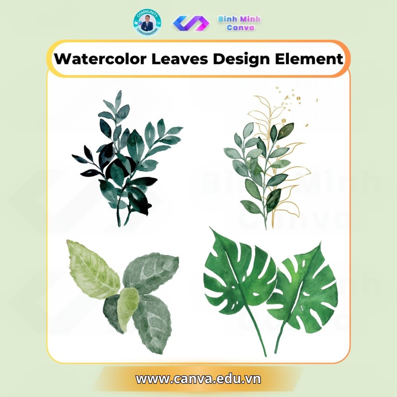 Bình Minh Canva - Từ khóa Watercolor Leaves Design Element